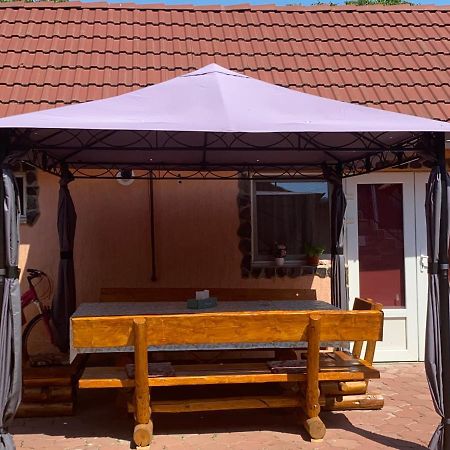 Готель Casa Blendea Daniela Кирцишоара Екстер'єр фото