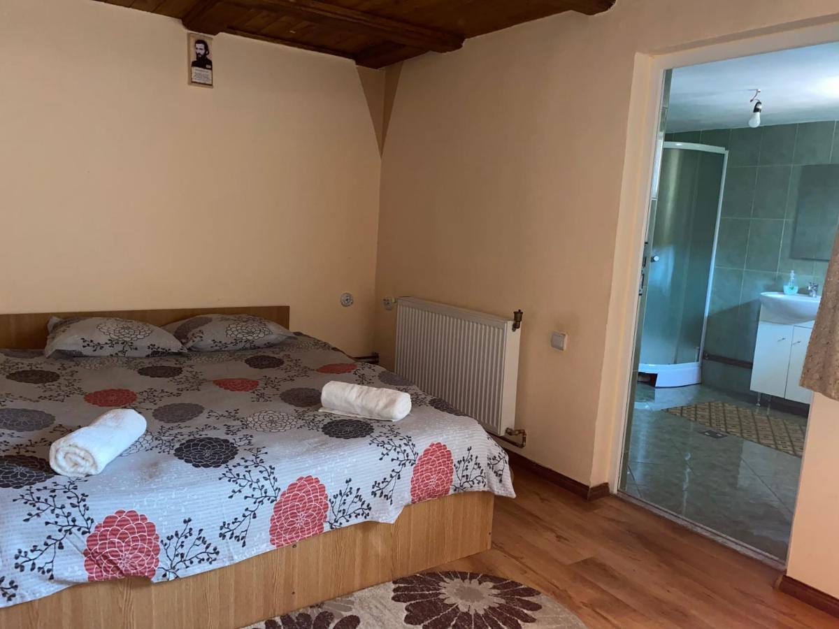 Готель Casa Blendea Daniela Кирцишоара Екстер'єр фото