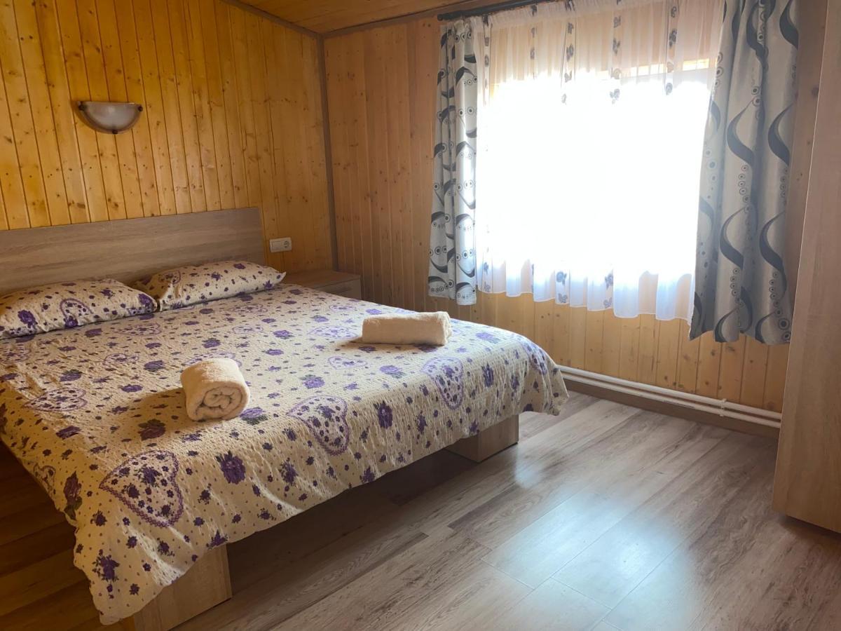 Готель Casa Blendea Daniela Кирцишоара Екстер'єр фото