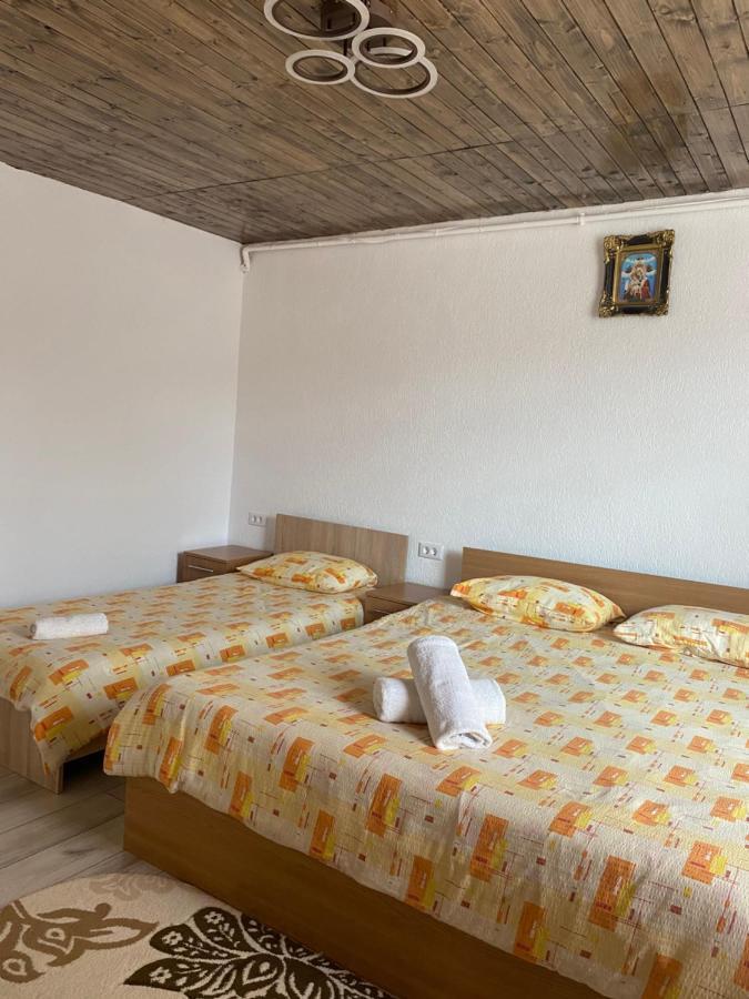 Готель Casa Blendea Daniela Кирцишоара Екстер'єр фото