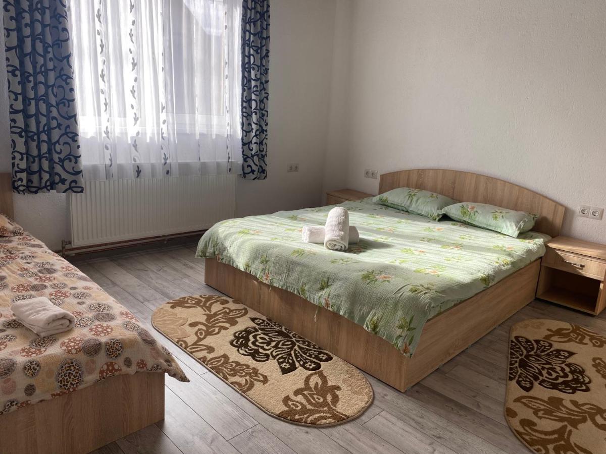 Готель Casa Blendea Daniela Кирцишоара Екстер'єр фото