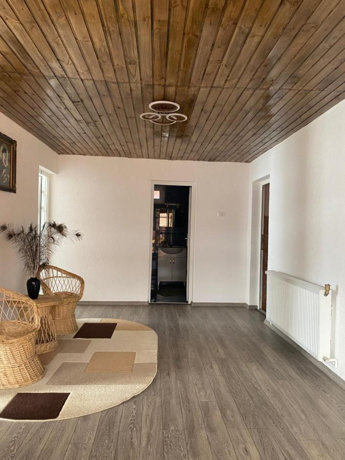 Готель Casa Blendea Daniela Кирцишоара Екстер'єр фото